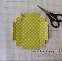 Image is the same piece of lime green and white plaid paper referenced previously, this time some of the score lines have been cut away to reveal tabs.