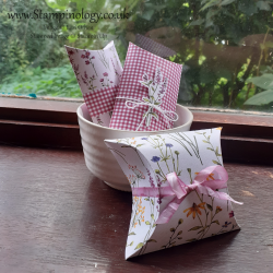 3 examples of pillow boxes arranged in and around a white large Japanese tea cup